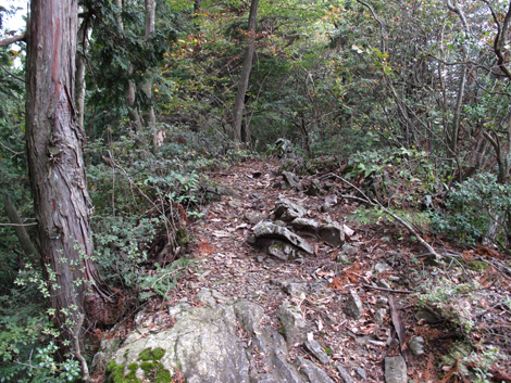 20181009hike (139)